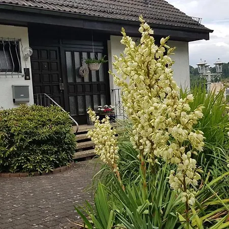 Wahlich Apartment Idar-Oberstein